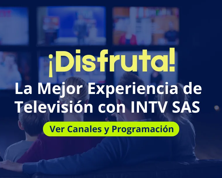 plantes internet y tv plantes internet y tv